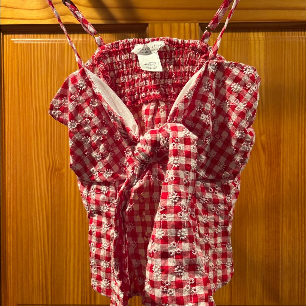 Red and White Gingham Crop Top